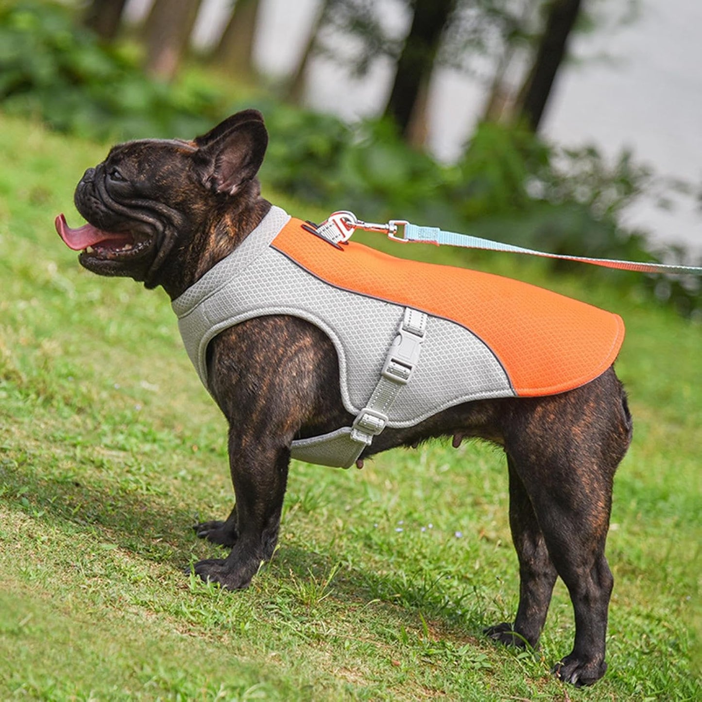 Pet Summer Cooling Vest | Reflective | Breathable