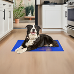 Pet Cooling Mat | All-Day Comfort