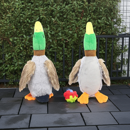 Plush Duck Squeaky Toy | Interactive Chew Toy for Small Medium Dogs
