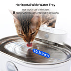 Stainless Steel Cat Water Fountain | Easy Clean