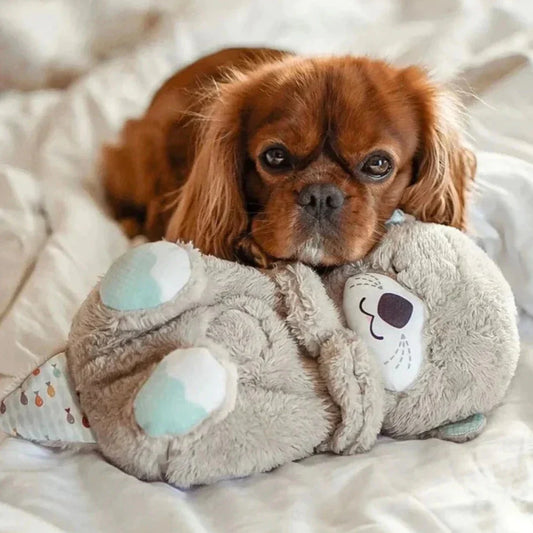 Calming Otter Plush Dog Toy | Soft Cuddly Comfort for Pets