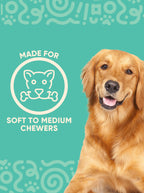 Dog Slow Feeder Bowl | Easy Clean Design | Reduces Waste