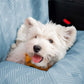 Cooling Travel Bolster Dog Car Seat Bed | Safe | Comfortable