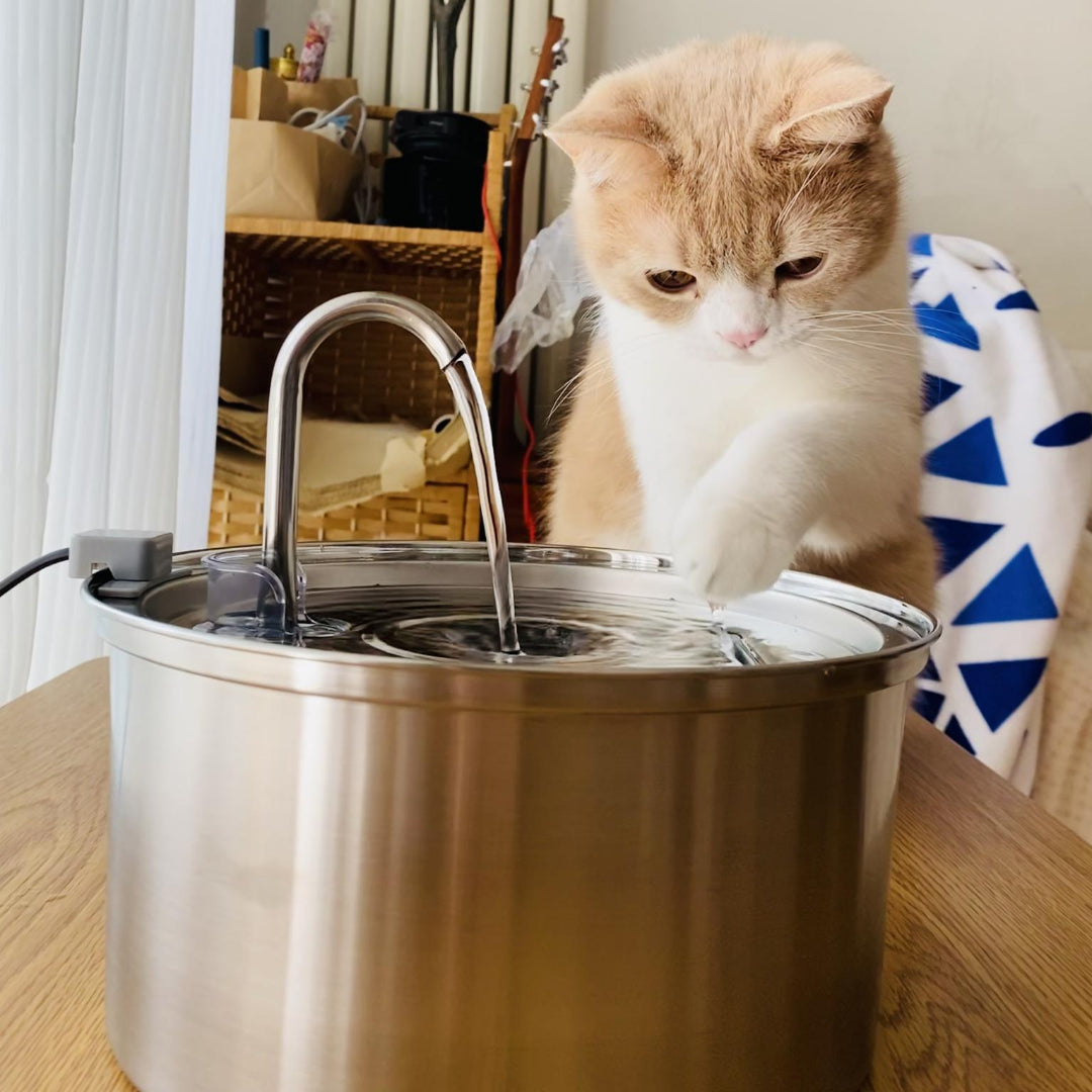 Cat Water Fountain | Promotes Hydration | Reduces Stress