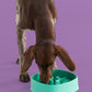 Dog Slow Feeder Bowl | Easy Clean Design | Reduces Waste