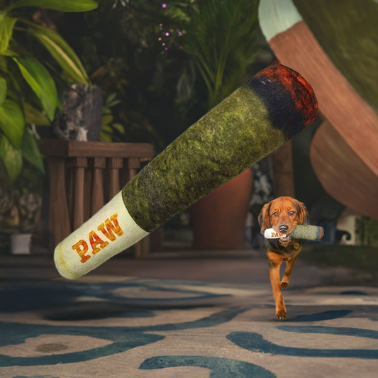 Interactive Dog Toy | Cigar Design Plush Squeaky | Chew Toy for Small Medium Dogs