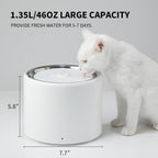 Pet Water Fountain | Quiet Operation | Adjustable Flow | Easy to Clean