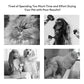 Multifunctional Pet Hair Dryer Brush | Steam Technology | Quick Drying