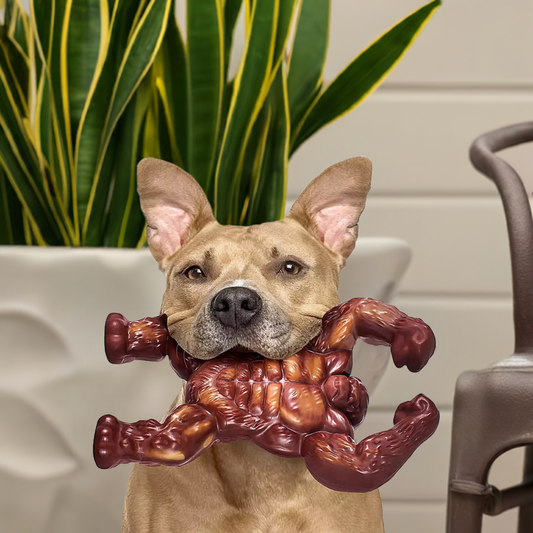 Indestructible Dog Toys | Extreme Tough for Aggressive Chewers | Large