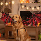 Halloween Dog Dragon Wings