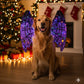 Dog Bat Wings