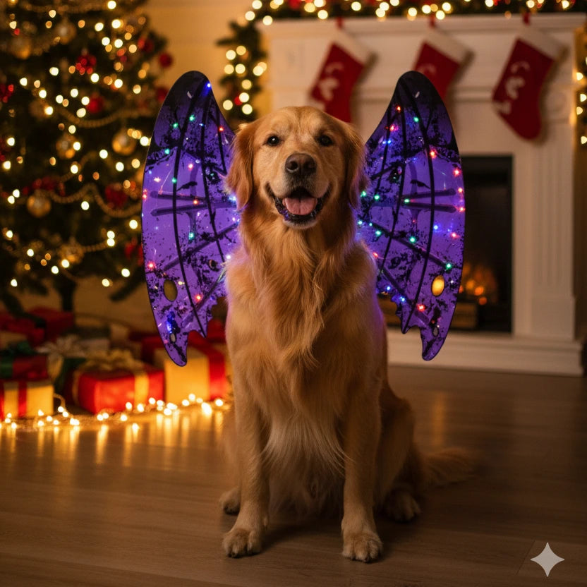 Dog Bat Wings