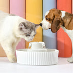 Ceramic Pet Water Dispenser | Automatic Circulation Fountain for Cats Dogs