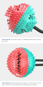 Pull Rope Chew Toy | Strong Suction Cup | Durable Dog Playtime
