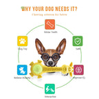 Indestructible Giraffe Dog Toy | Natural Rubber Teething Treat Dispenser