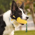Sustainable Dog Toothbrush Chew Toy | Corn Shape Molar Stick | Squeaky Rubber Nylon