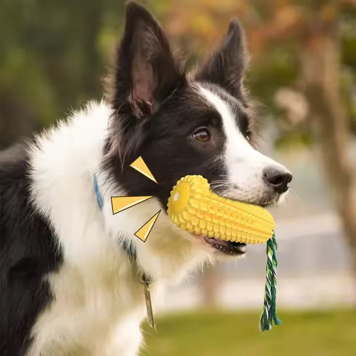 Sustainable Dog Toothbrush Chew Toy | Corn Shape Molar Stick | Squeaky Rubber Nylon