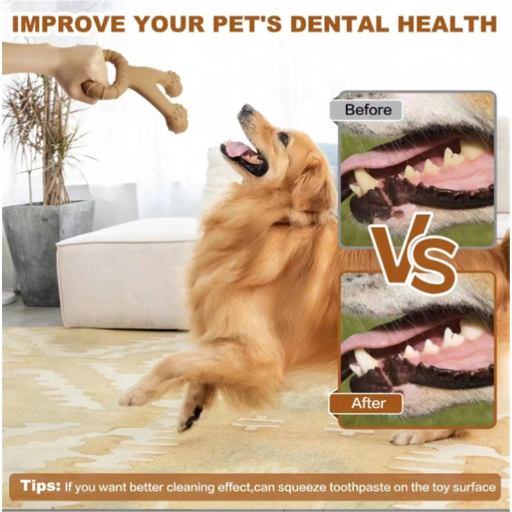 Beef Flavor Rubber Teething Toy | Anxiety Relief | Dental Cleaning