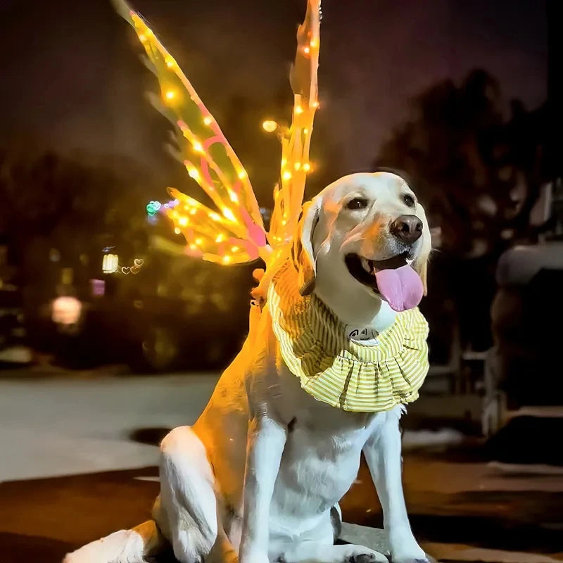 LumiPaws™ Wings