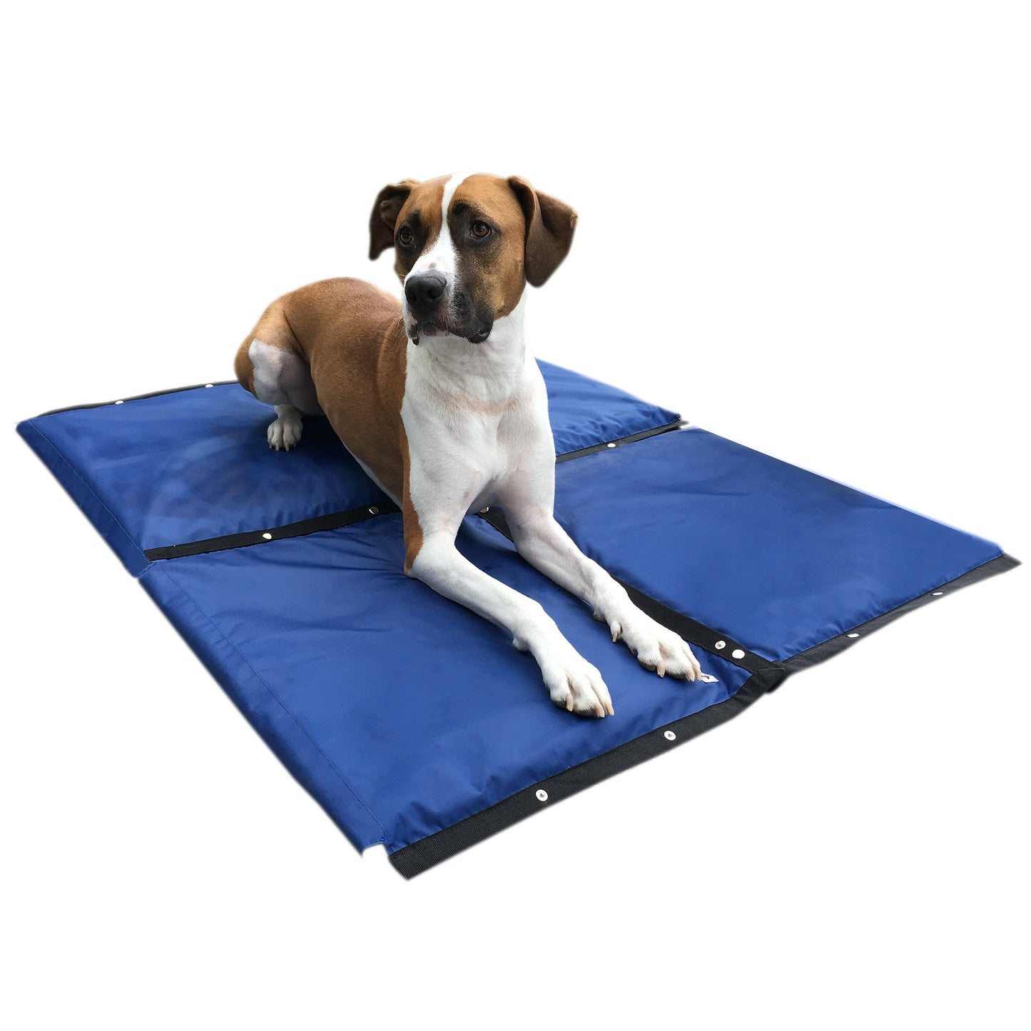 Cooling Mat for Dogs | Keeps Your Pet Cool