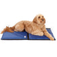Cooling Mat for Dogs | Keeps Your Pet Cool