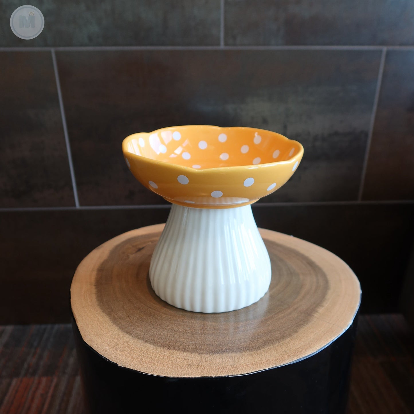 Elevated Mushroom Cat Bowl | Ergonomic Design | Reduces Neck Strain