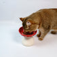 Elevated Mushroom Cat Bowl | Ergonomic Design | Reduces Neck Strain