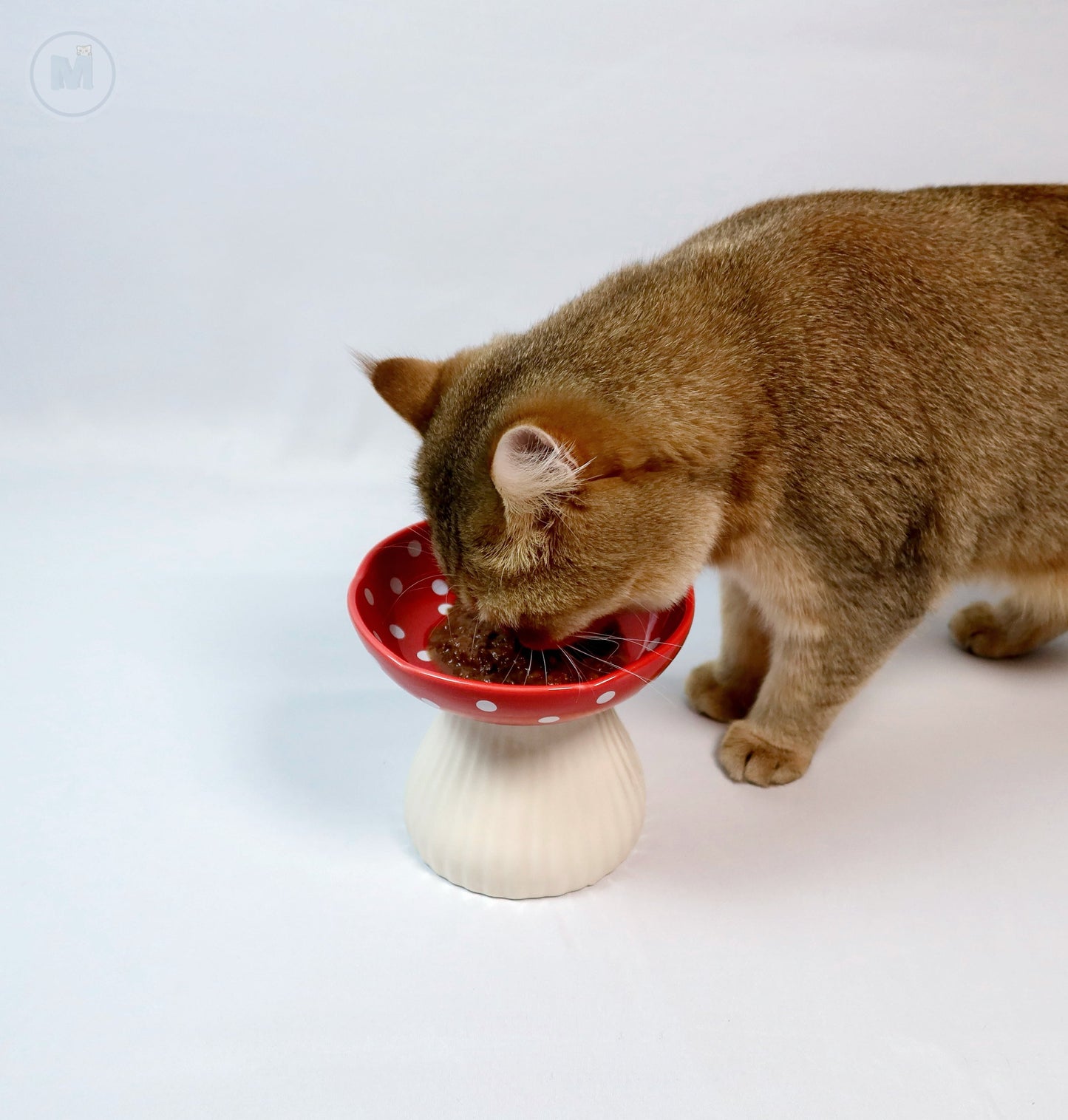 Elevated Mushroom Cat Bowl | Ergonomic Design | Reduces Neck Strain