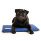 Cooling Mat for Dogs | Keeps Your Pet Cool