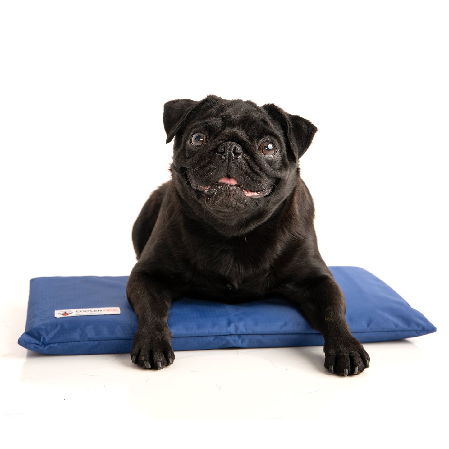Cooling Mat for Dogs | Keeps Your Pet Cool