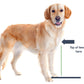 Single Diner Dog Bowl | Durable Design | Easy to Clean | Perfect for Pets