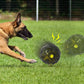 Meteorite Rolling Giggling Dog Ball | Interactive Fun | Durable Design
