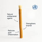 The Miswak - Nature's Toothbrush