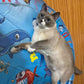 Cooling Pet Water Mat | Keeps Pets Cool and Comfortable | Durable