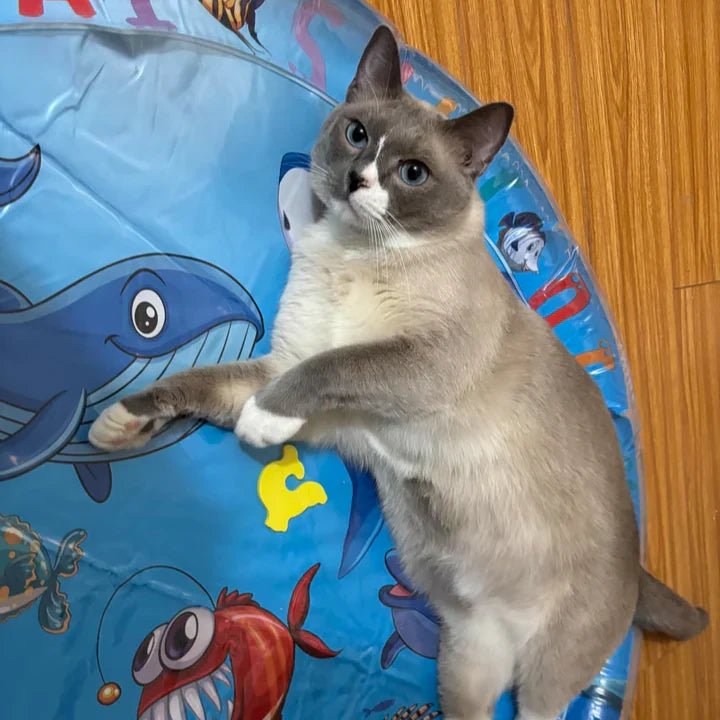 Cooling Pet Water Mat | Keeps Pets Cool and Comfortable | Durable