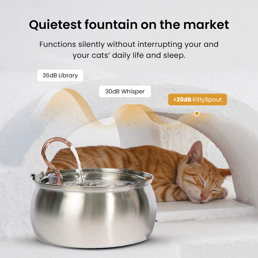 Cat Water Fountain | Promotes Hydration | Reduces Stress
