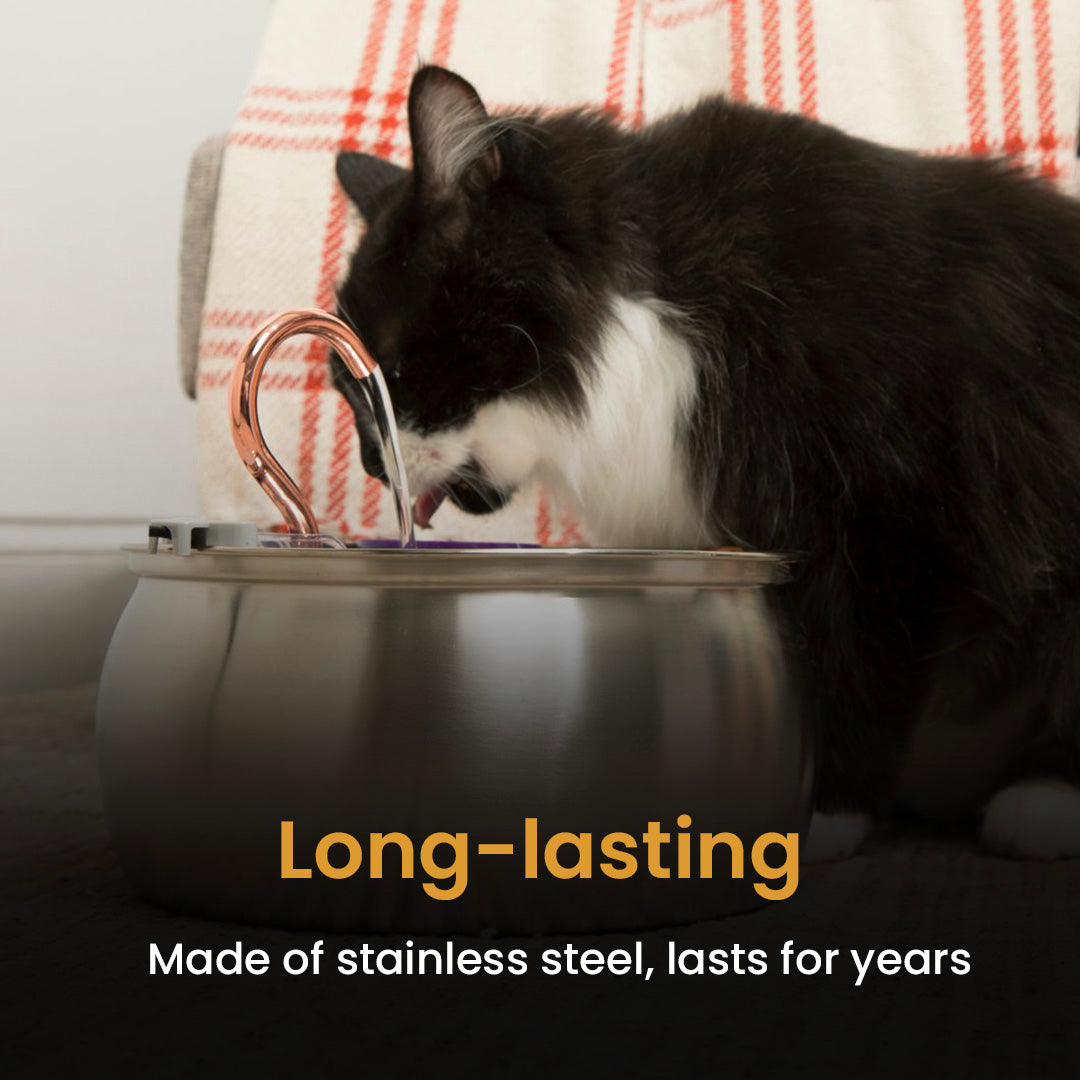 Cat Water Fountain | Promotes Hydration | Reduces Stress