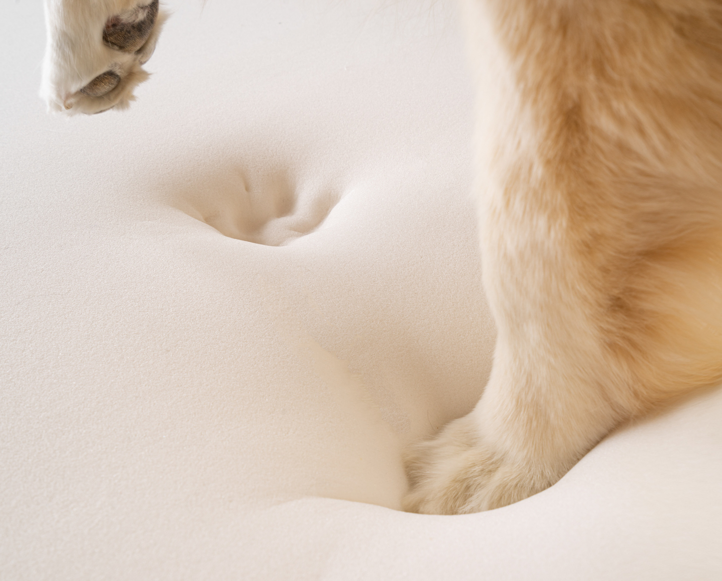 Faux Fur Orthopedic Dog Bed | Comfort for Large to XL Dogs