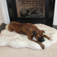 Faux Fur Orthopedic Dog Bed | Comfort for Large to XL Dogs