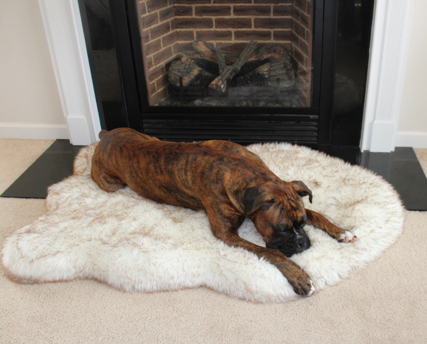 Faux Fur Orthopedic Dog Bed | Comfort for Large to XL Dogs