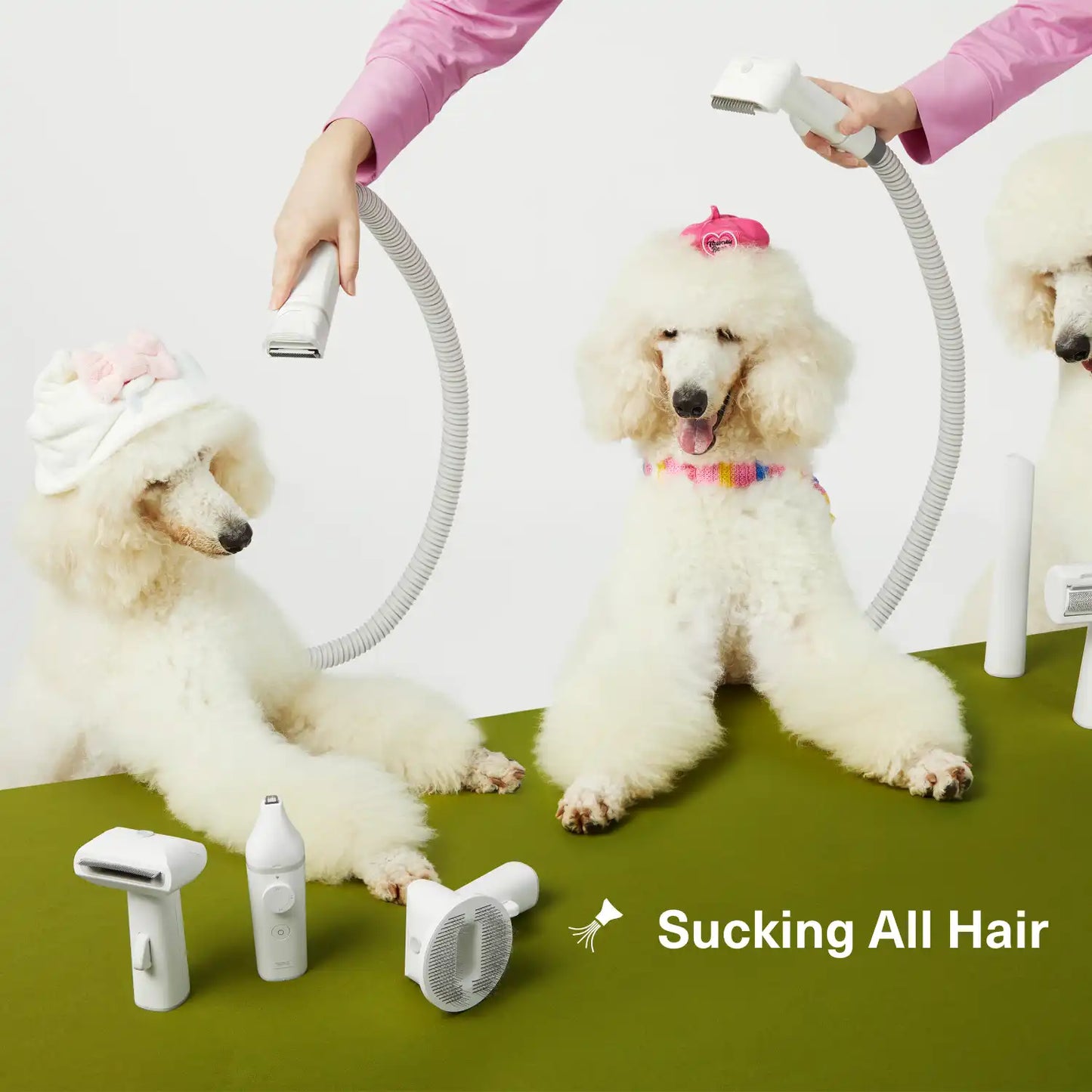 Pet Grooming Vacuum Kit | Effortless Cleaning | Quiet Powerful Suction