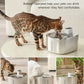 Auto Sensor Drinking Fountain