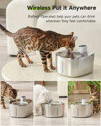 Auto Sensor Drinking Fountain