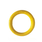 Dog Ring Toy | Indestructible Chew Toy | Floating Fetch Training Tool