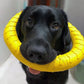 Dog Ring Toy | Indestructible Chew Toy | Floating Fetch Training Tool