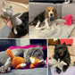 Plush Dog Toy | Bite Resistant Squeaky | Corduroy for Small Large Dogs