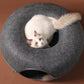 3-in-1 Interactive Cat Bed | Cozy House and Fun Tunnel
