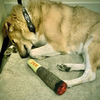 Interactive Dog Toy | Cigar Design Plush Squeaky | Chew Toy for Small Medium Dogs