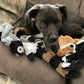 Simulated Animal Dog Toy | No Stuffing | Durable Plush | Squeaky Chew Toy