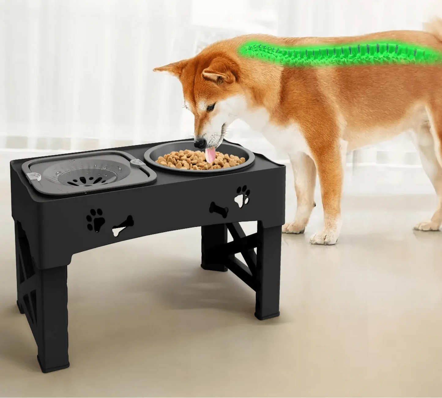 Ergonomic Dog Feeder | Adjustable Height | Reduces Neck Strain